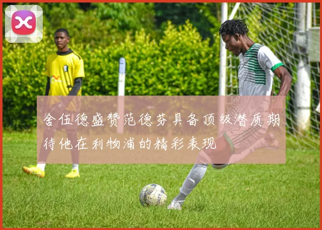 舍伍德盛赞范德芬具备顶级潜质期待他在利物浦的精彩表现